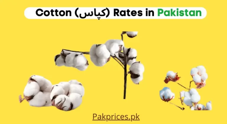 Cotton Price in Pakistan 2023 | کپاس Cotton Rates in Pakistan Today