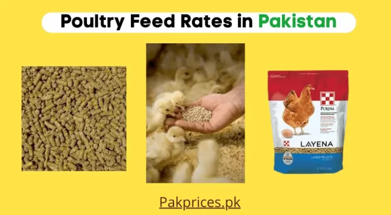 Poultry Feed Price in Pakistan 2023 | Chicken Feed Per Bag Rates