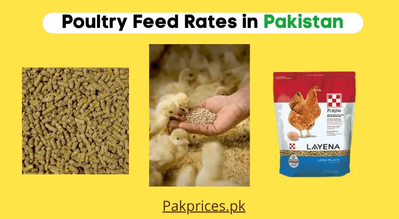 poultry feed rates in pakistan