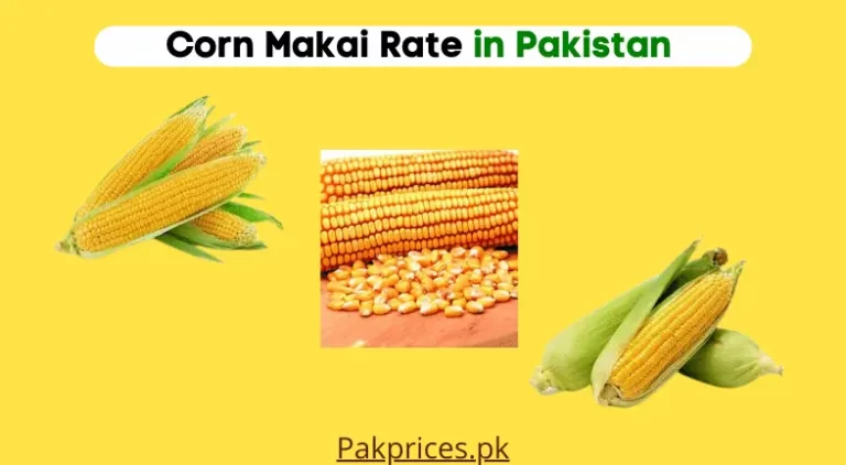 Makai Price in Pakistan 2023 | Corn, Maize Rate in Pakistan