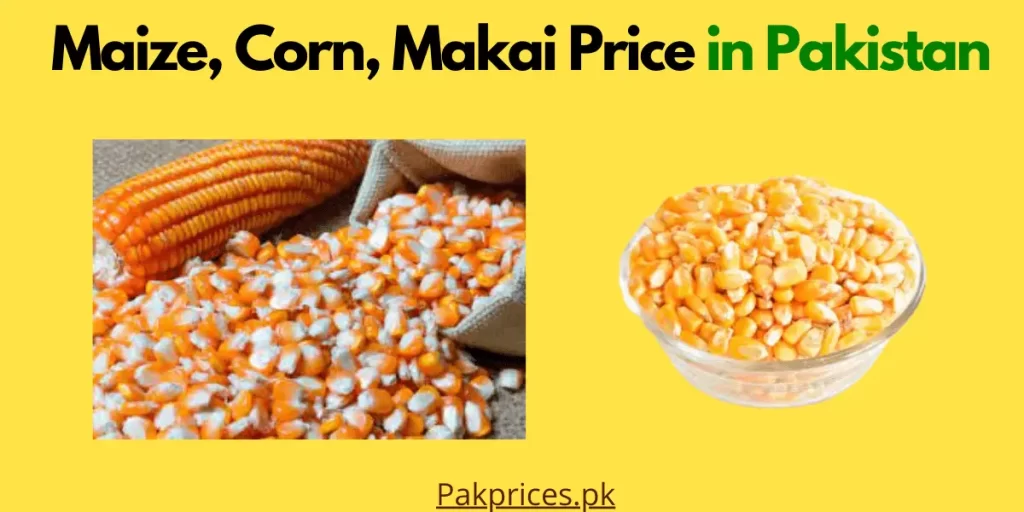 Maize Corn Makai Price in Pakistan